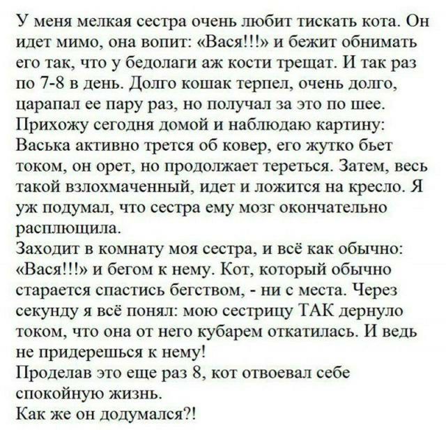 У меня мел сестра очень побит тискагь котя Он Идет мимо она вопит Васи и бежит обнимать его так чю у бедолаги аж кос ги трещат И так ра по 7 3 в день Цыпа кошак при очень др шрапш ес пару раз но получил за это по шее Прихожу сегошп ломай и наблюдаю картину Васька дпивно трется об ковер его жутко быт юкем он арет но продолжает тереться Затем весь такой вшита ценный или и лвжшся на кресло Я уж подум