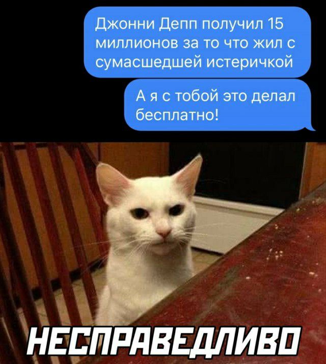 джонни депп получил 15 миллионов за то что жил сумасшедшей истеричкой А я с тобой это делал бесплатно