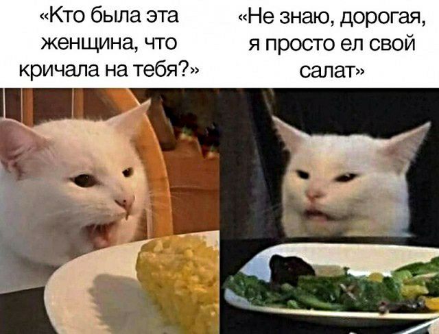 Кто была эта Не знаю дорогая женщина что я просто ел свой кричала на тебя салат