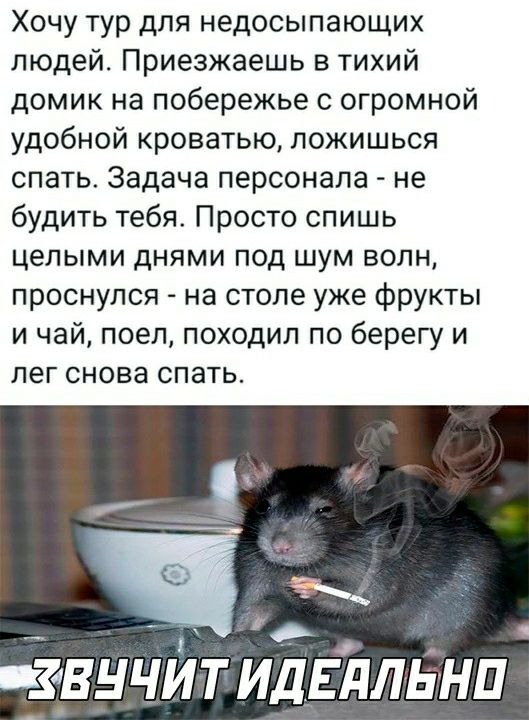 Хочу тур для недосыпающих людей Приезжаешь в тихий домик на побережье с огромной удобной кроватью пожишься спать Задача персонала не будить тебя Просто спишь целыми днями под шум волн проснулся на столе уже фрукты и чай поел походил по берегу и лег снова спать звучит идЕЪлннп