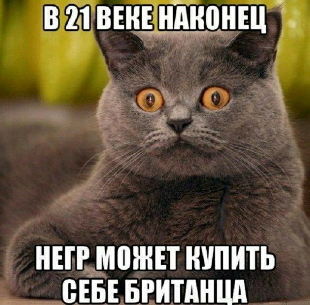 В 21 ЗЕНЁНДНБНЕЦ Ё тг чг НЕГРЪМПШЕТ КУПИТЬ _ НЕБЕ БРИТАНЦА
