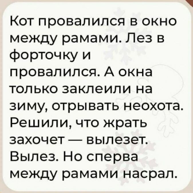 Кот провалился в окно между рамами Лез в форточку и провалился А окна только заклеипи на зиму отрывать неохота Решили что жрать захочет вылезет Вылез Но сперва между рамами насрал