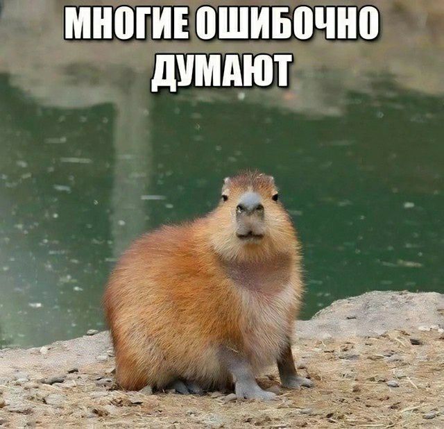 мнощ ршиьочно линяют 1