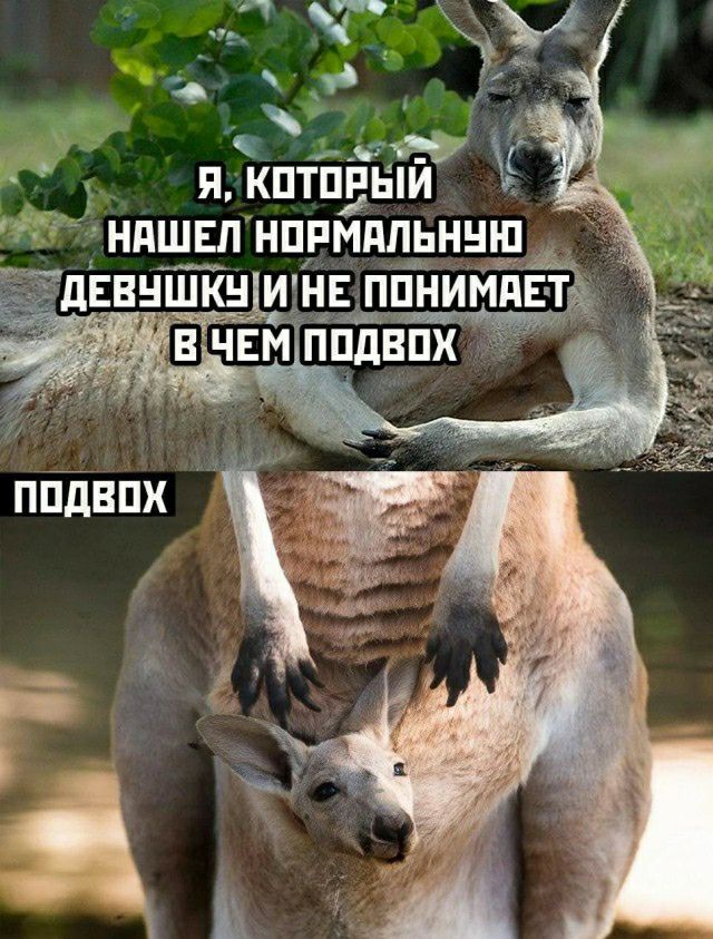 У 34 я кптппнТЙ Ё ндшвп нппмяпьншп дЕвншкни _ нвппнимпвтй