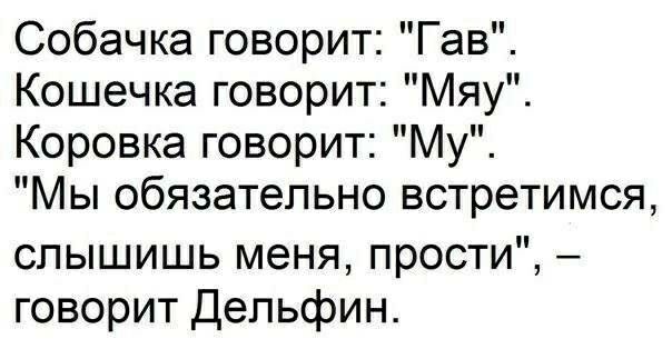 Собачка говорит Гав Кошечка говорит Мяу Коровка говорит Му Мы обязательно встретимся слышишь меня прости говорит Дельфин