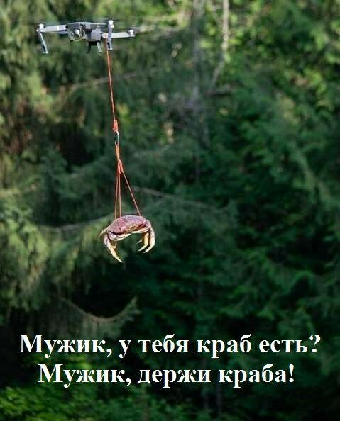 Муждк у тебя краб есть Муйвк держи краба