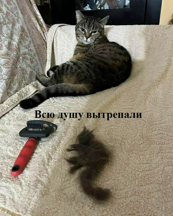 Всю душу вьпрепали