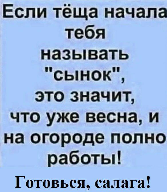 Если тёща начала тебя называть сынок это значит что уже весна и на огороде полно работы Готовься салага