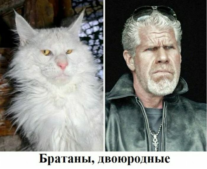 Бр ЗППЯ ДВПОРОЛПЬЦ