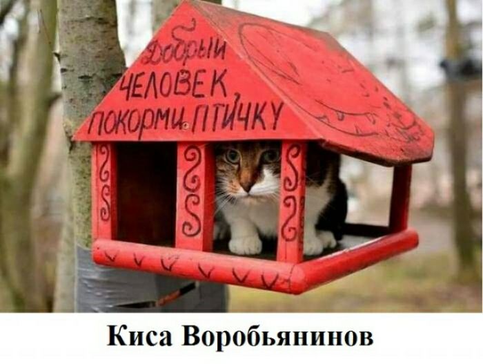 Киса Воробьянинов