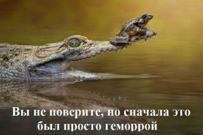 ВЁЁЁФйо начала это был просто геморрой