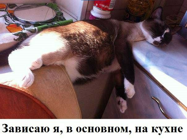 Зависаю Я в ОСНОВНОМ На кухне