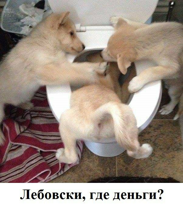 Лебовски где деньги