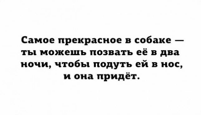 Самое прекрасное в собаке ты можешь позвать её в два ночи чтобы надуть ей в нос и она придёт