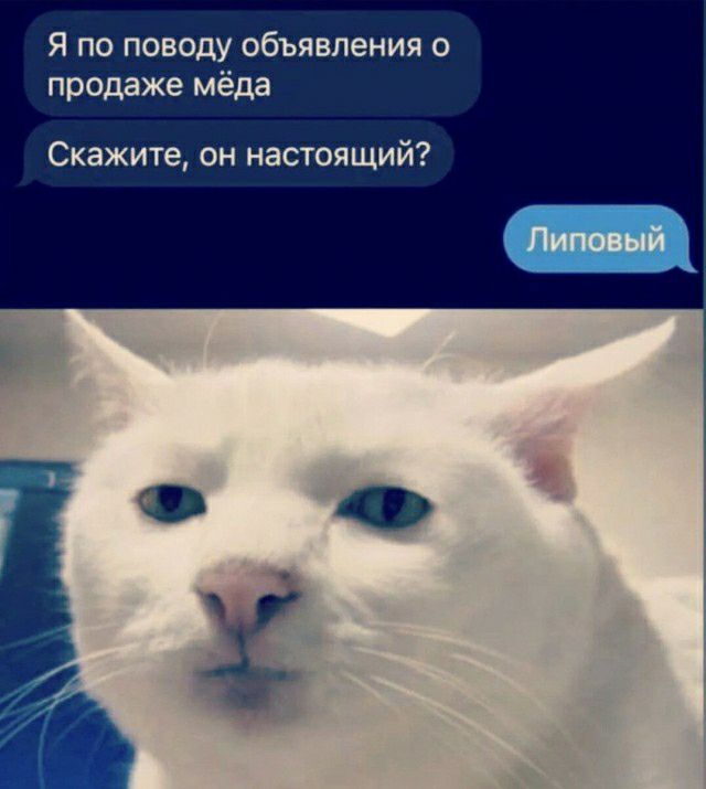 Я по поводу объявления о продаже мёда Скажите он настоящий