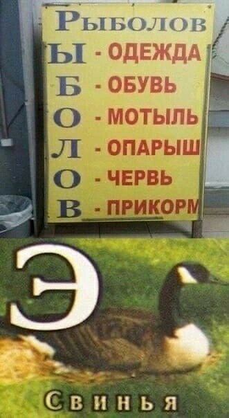 Свинья