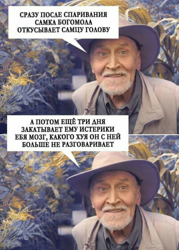 СРАЗУ ПОСАЕ СЦАРИВШШ СШКА БОГОМОМ ОТКУСЫВАЕТ САМЦУ ГОАОВУ А ПОТОМ ЕЩЁ ТРИ АНЯ ЗШТЫВАЕТ ЕМУ ИСТЕРИКИ ЕБЯ МОЗГ КАКОГО ХУЯ ОН С НЕЙ БПАЬШЕ НЕ РАЗГОВАРИВАЕТ