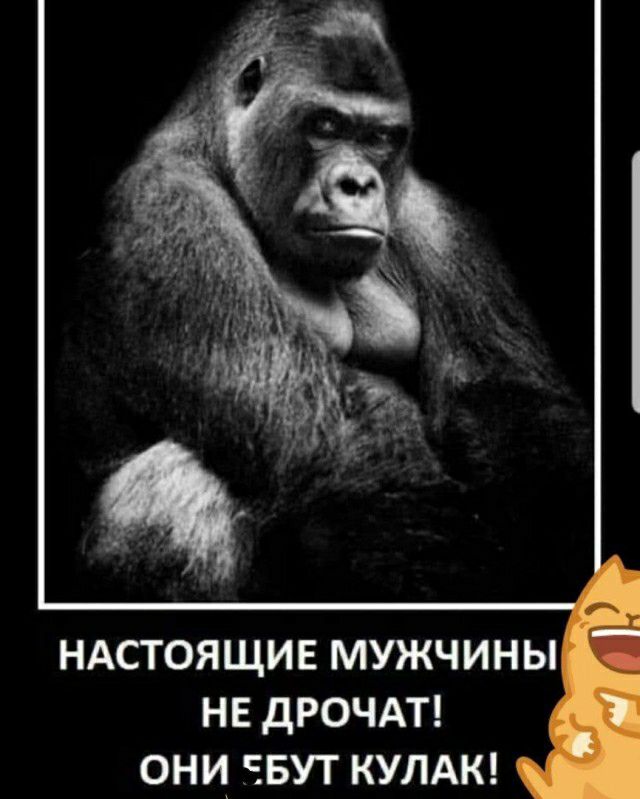 НАСТОЯЩИЕ МУЖЧИНЫ НЕ ДРОЧАТ ОНИ ЧБУТ КУЛАК