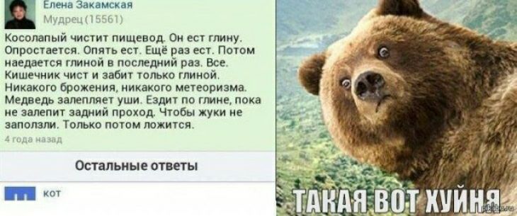 м в тп им щ т а в м м пра пшщ м няет 7 щ ш д прд пам апп