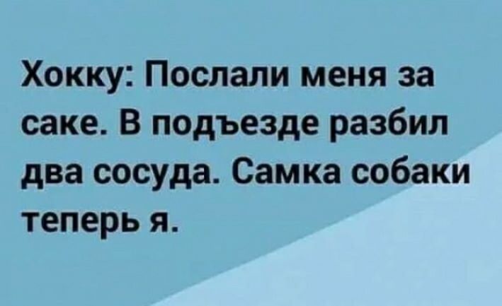 Хокку Послали меня за саке В подъезде разбил два сосуда Самка собаки теперь я