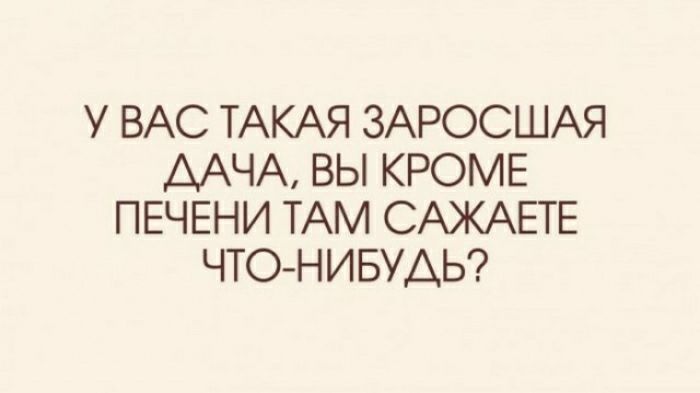 У ВАС ТАКАЯ ЗАРОСШАЯ ААЧА ВЫ КРОМЕ ПЕЧЕНИ ТАМ САЖАЕГЕ ЧТОНИБУДЬ