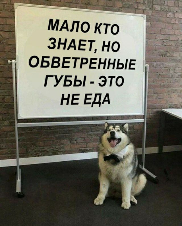 МАЛО кто ЗНАЕТ но овввтрьнныв гувы это НЕ ЕДА