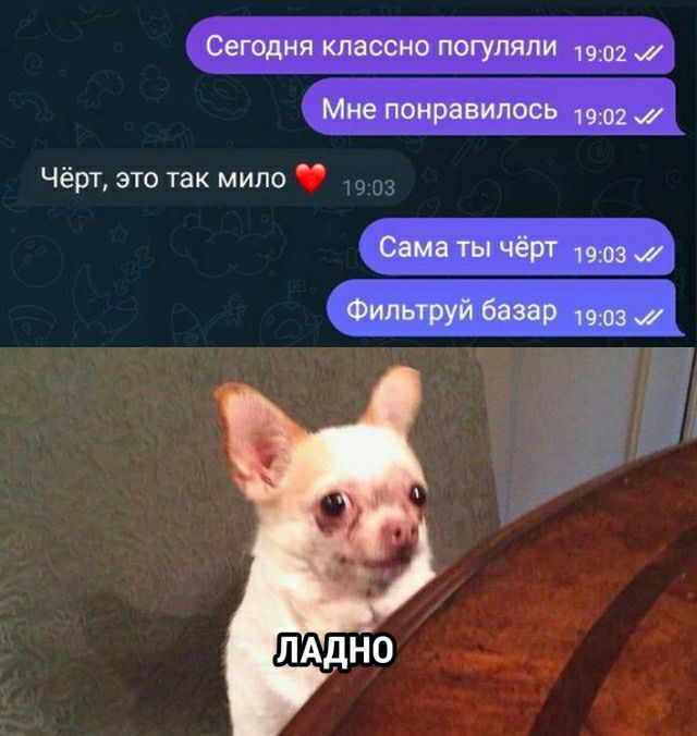 Чёрт это так мипо ЛАдНО