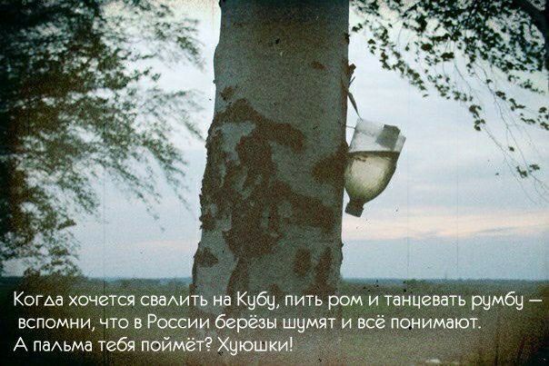 Коша хочется сиАиь на Кубе пить ром и танцевать шмбу вспомни чта в России берёзы шумят и всё понимают А паАьмд тебя Хцюшкиі