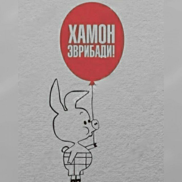 ХАМПН ЗВРИБШИ