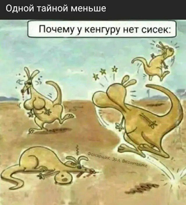 Одной тайной меньше Почему у кенгуру нет сисек