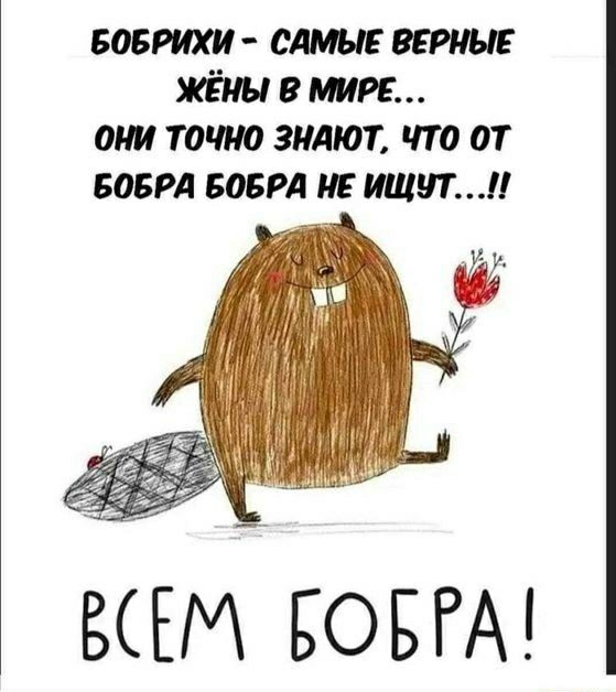 воврихи слинг жёны 8 шк они тацию знают что от воврд вост и идут ЕЕМ БОБГА