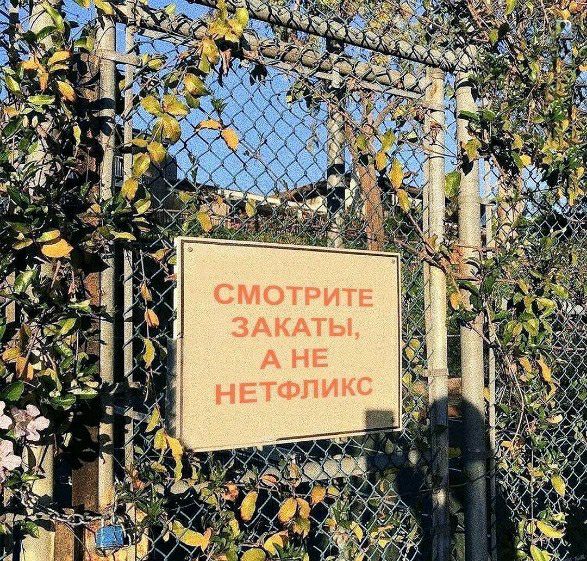 __ Аты А НЕ НЕТФПик
