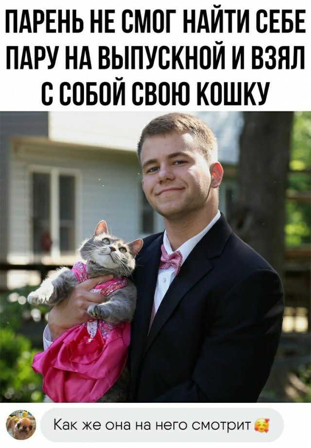 ПАРЕНЬ НЕ СМОГ НА7_ТИ СЕБЕ ПАРУ НА ВЫПУСКНОИ И ВЗЯЛ СВОБОИ СВПН КОШКУ Как же она на него смотрит