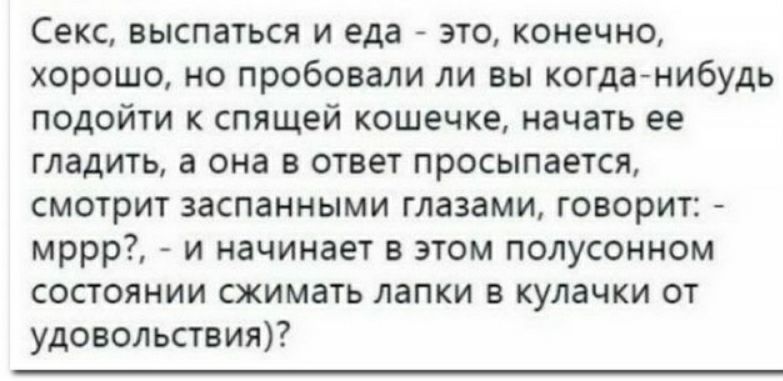 Секс выспаться и еда это конечно хорошо но пробовали ли вы когдагнибудь подойти спящей кошечке начать ее гладить а она в ответ просыпается смотрит заспанными глазами говорит мррр и начинает в этом полусониом состоянии сжимать папки в кулачки от удовольствия