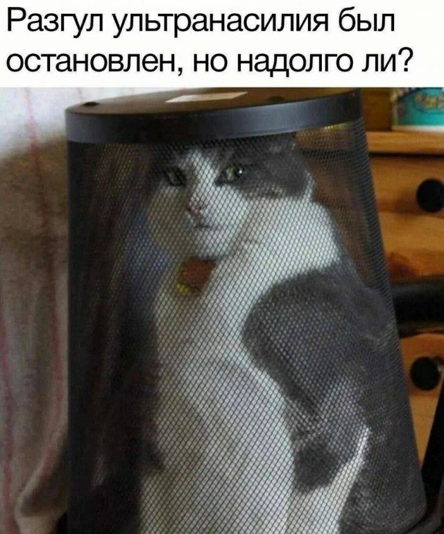 Разгул ультранасилия был остановлен но надолго ли