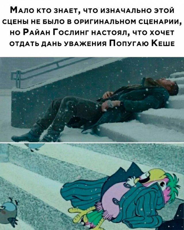 МАЛО КТО ЗНАЕТ ЧТО ИЗНАЧАЛЬНО ЭТОЙ СЦЕНЫ НЕ БЫЛО В ОРИГИНАЛЬНОМ СЦЕНАРИИ НО РАЙАН ГОСЛИНГ НАСТОЯЛ ЧТО ХОЧЕТ ОТДАТЬ дАНЬ УВАЖЕНИЯ ПОПУГАЮ КЕШЕ