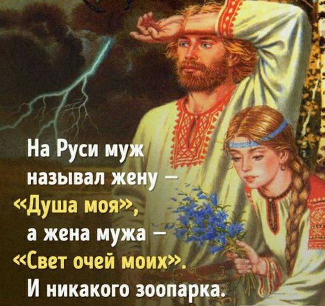 называл душа моя 7 Свет очей моих И никакого зоопірпа