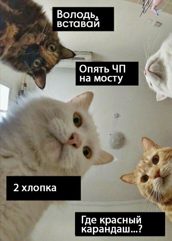Володь встоваи карандаш