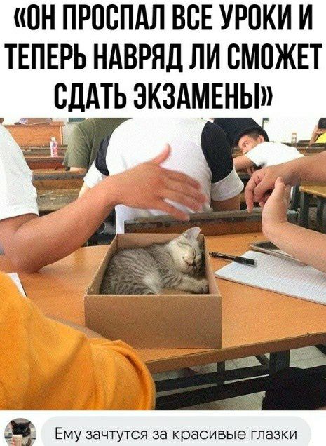 ЮН ПРПБПАЛ ВСЕ УРПКИ И ТЕПЕРЬ НАВРЯД ЛИ СМОЖЕТ СДАТЬ ЭКЗАМЕНЫ Ё Ему зачтутся за красивые глазки