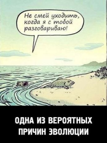 На смен уходио когда 51 г итпдоіі разговариваю однд ИЗ ВЕР0ЯТНЫХ ПРИЧИН ЭВОЛЮЦИИ