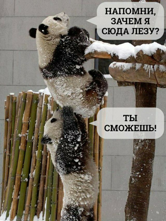 НАПОМНИ ЗАЧЕМ Я СЮДА ПЕЗУ ТЫ СМОЖЕШЬ