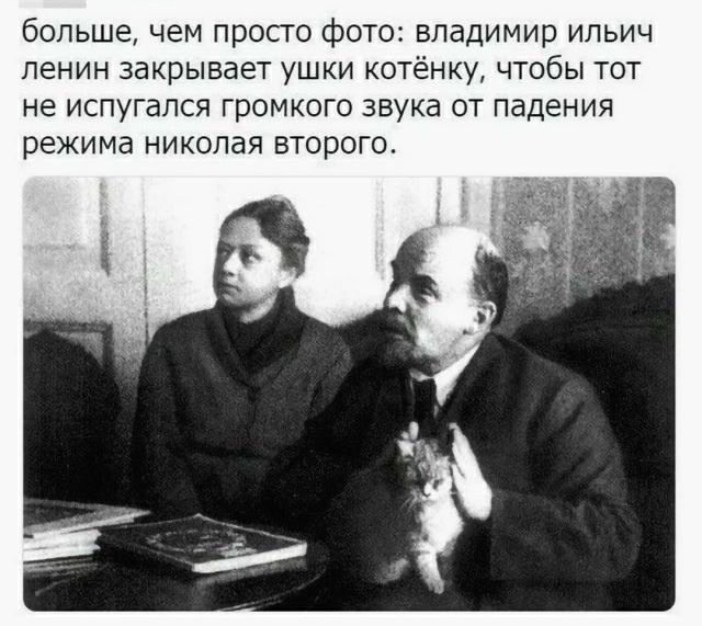 большечем просп фото владимир ипьич ленин закрывает ушки котёнку чтобы тот не испугался громкого звука от падения режима никопая второго