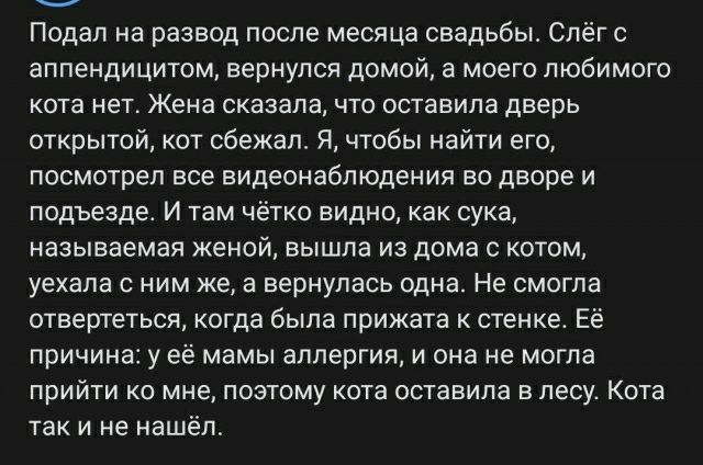 Подал на развод после месяца свадьбы Слёг аппендицитом вернулся домой а моего любимого кота нет Жена сказала ЧТО оставила дверь открытой кот сбежал я чтобы иайти его посмотрел все видеонаблюдения во дворе и подъезде и там чётко видно как сука называемая жений вышла из дома С котом уехала с ним же а вернулась один На смогла отвертеться когда была прижата стенке Ее причина у её мамы аллергия и она н