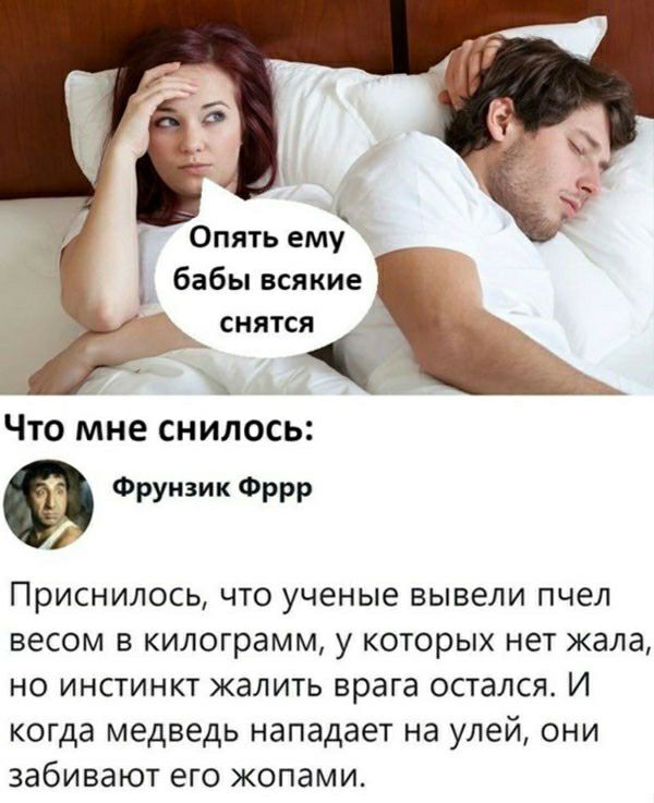 Опять ему бабы всякие снятся 1 Что мне снилось Фрунэик Фррр Приснилось что ученые вывели пчел весом 5 килограмм у которых нет жала но инстинкт жалить врага остался И когда медведь нападает на улей они забивают его жопами