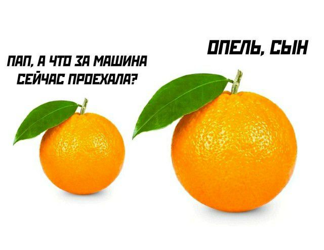 ППЕЛЬ СЫН пил и чт гл мдшинл Ейчлс пришил