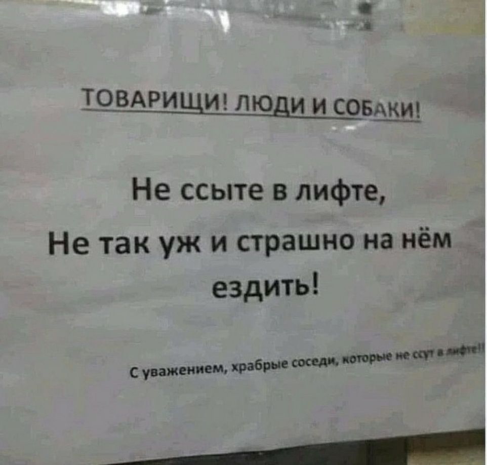 трщрищид люди и соыхщ Не ссыте в лифте Не так уж и страшно на нём ездить сищютшш ___