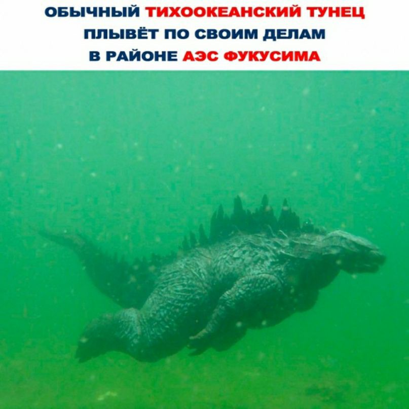 овычный плывет по своим денди в РАЙОНЕ