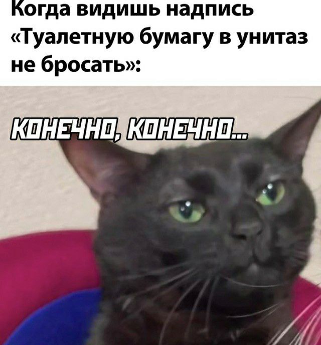 огда видишь надпись Туапетную бумагу в унитаз не бросать
