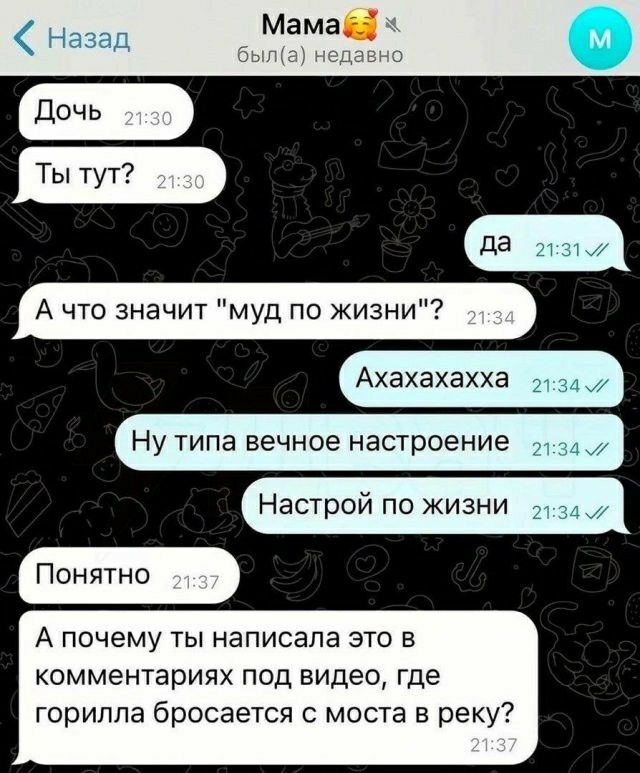 Мама А что значит муд по жизни Ахахахахха Ну типа вечное настроение _ 4 Настрой по жизни Понятно А почему ты написала это в комментариях под видео где горилла бросается с моста в реку