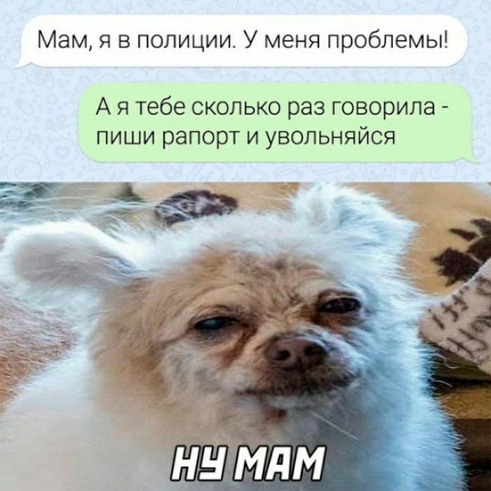Мам в полиции У меня проблемы А я тебе сколько раз говорила пиши рапорт и увольняйся